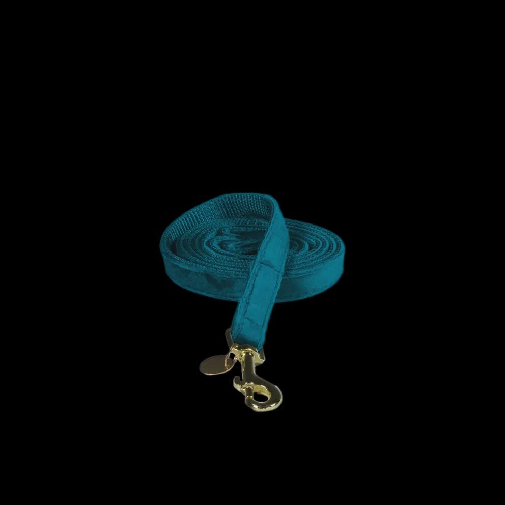 Laisse pour chien Velvet 120 cm - Kentucky 6/7