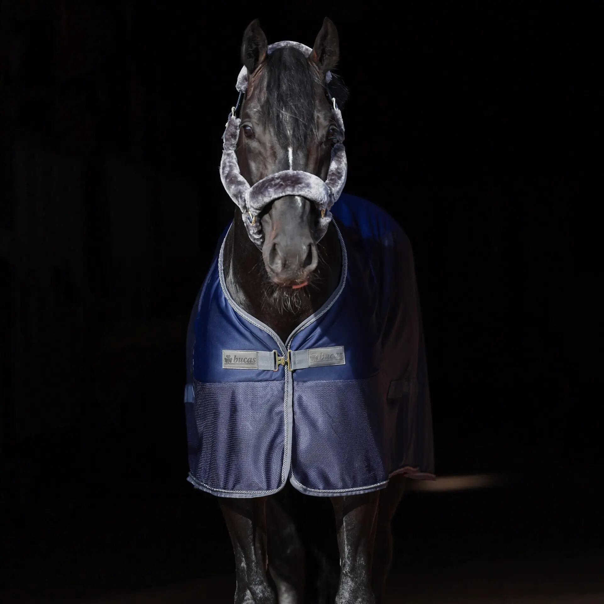 Bucas Show-line Wedstrijd Cooler Blauw - 3/4