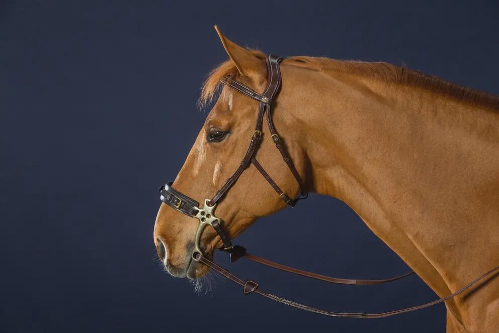 Hackamore para caballo Dy'on 7/7