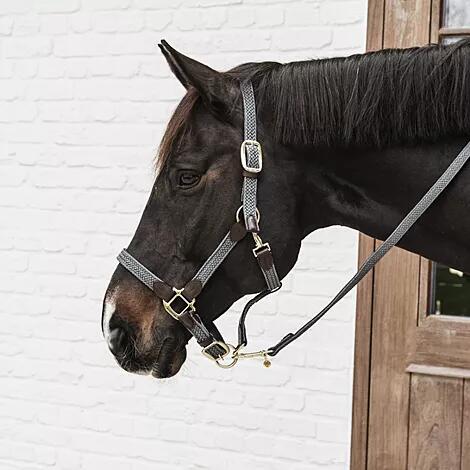 Gevlochten Nylon Halster COB - Oranje - Vegan Leder 5/6