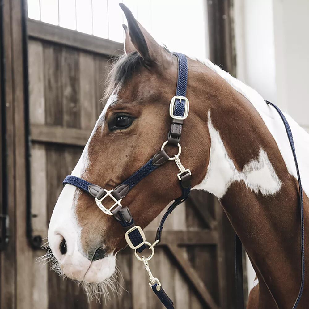Gevlochten Nylon Halster COB - Oranje - Vegan Leder 6/6