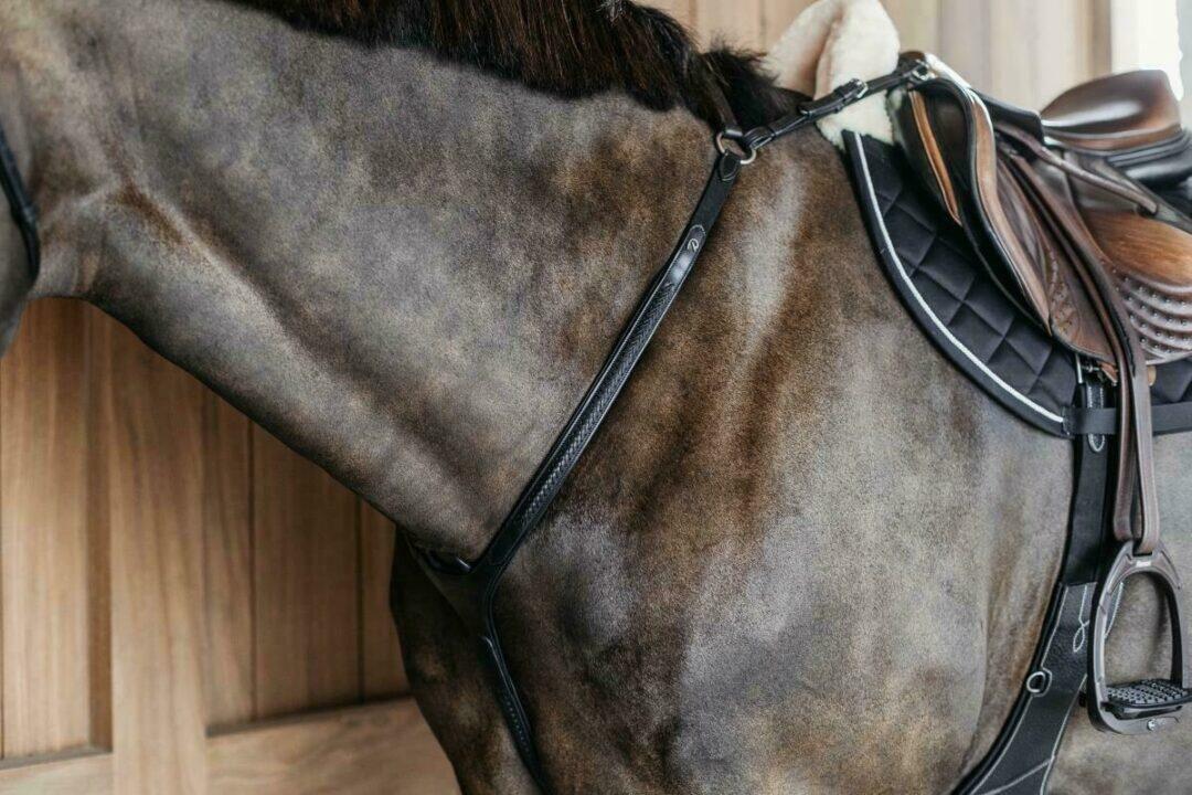 Collare da caccia a ponte intrecciato per cavalli Dy'on 4/6