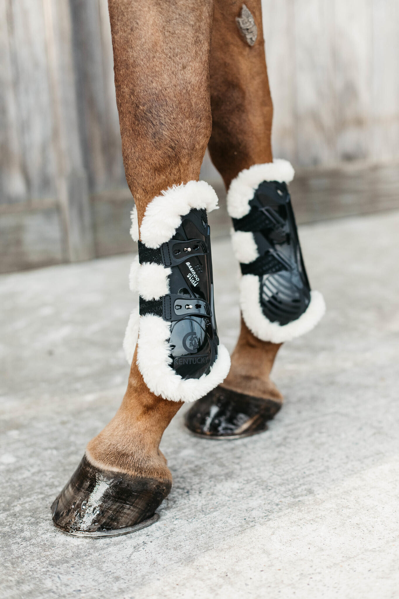 Kentucky Vegan Wol Peesbeschermers Bamboo Elastiek Bruin 2/7