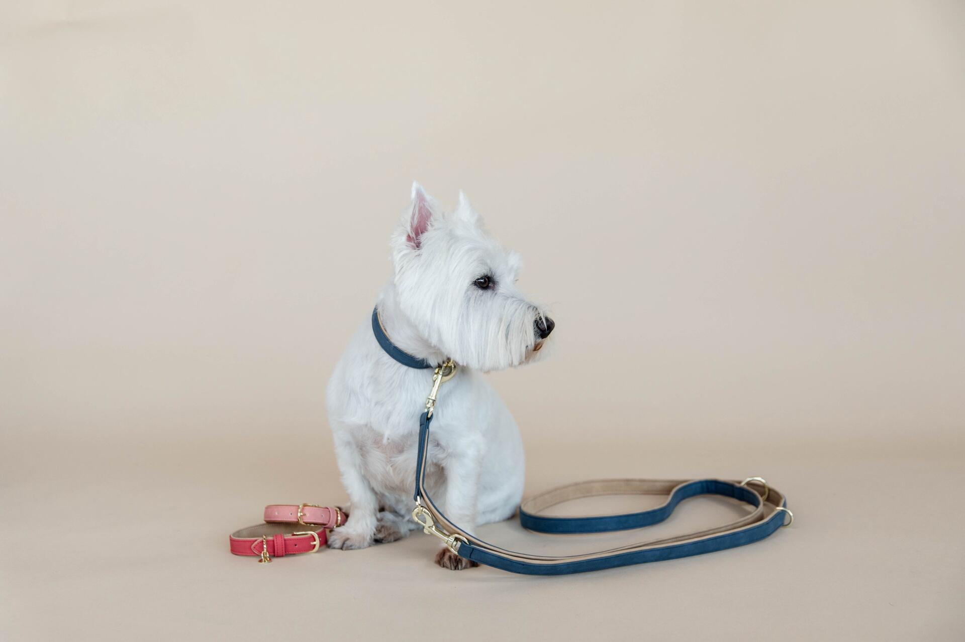 Kentucky Hondenhalsband Zacht Vegan Leder Roze 7/7