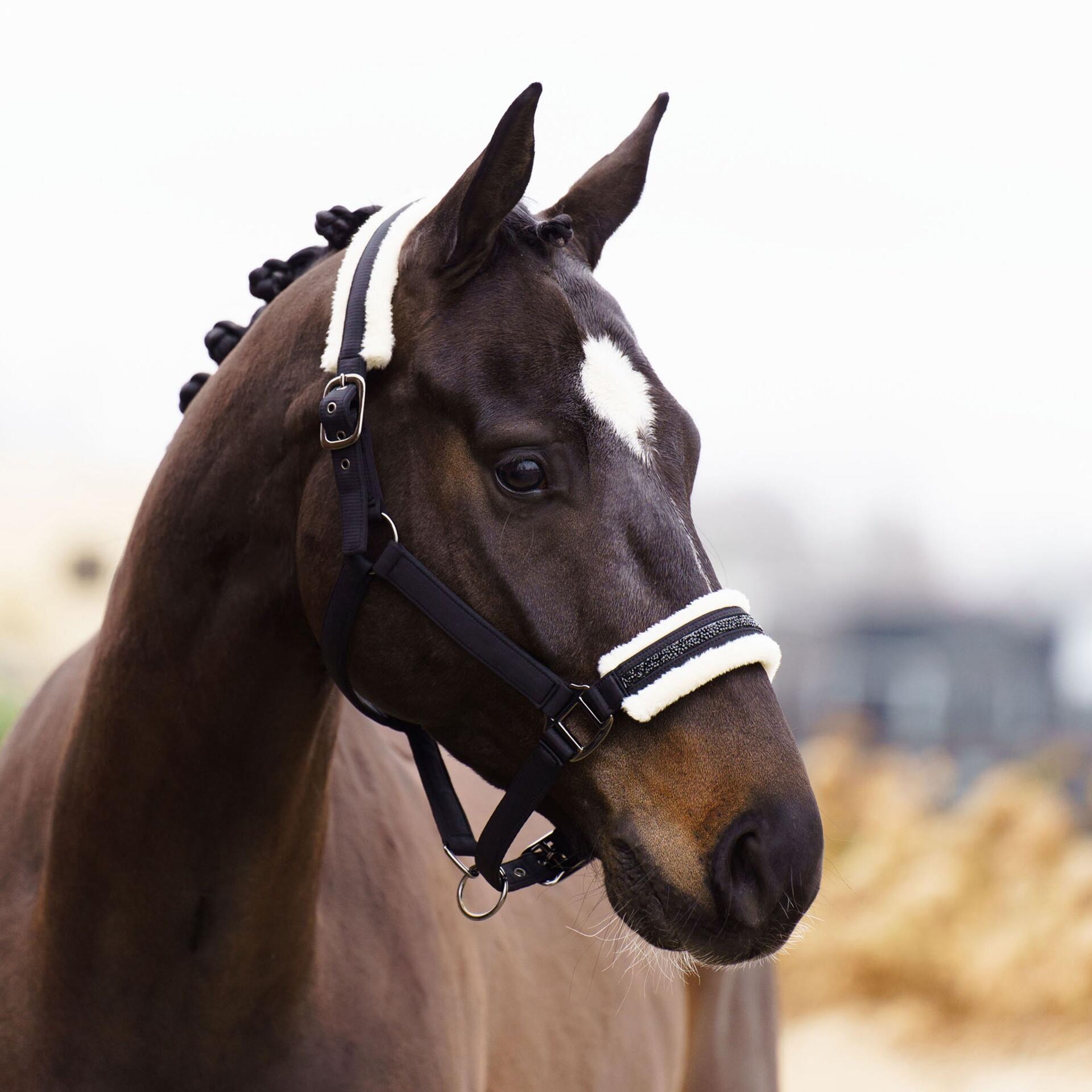 Imperial Riding Halster Irhjewel Zwart 5/7