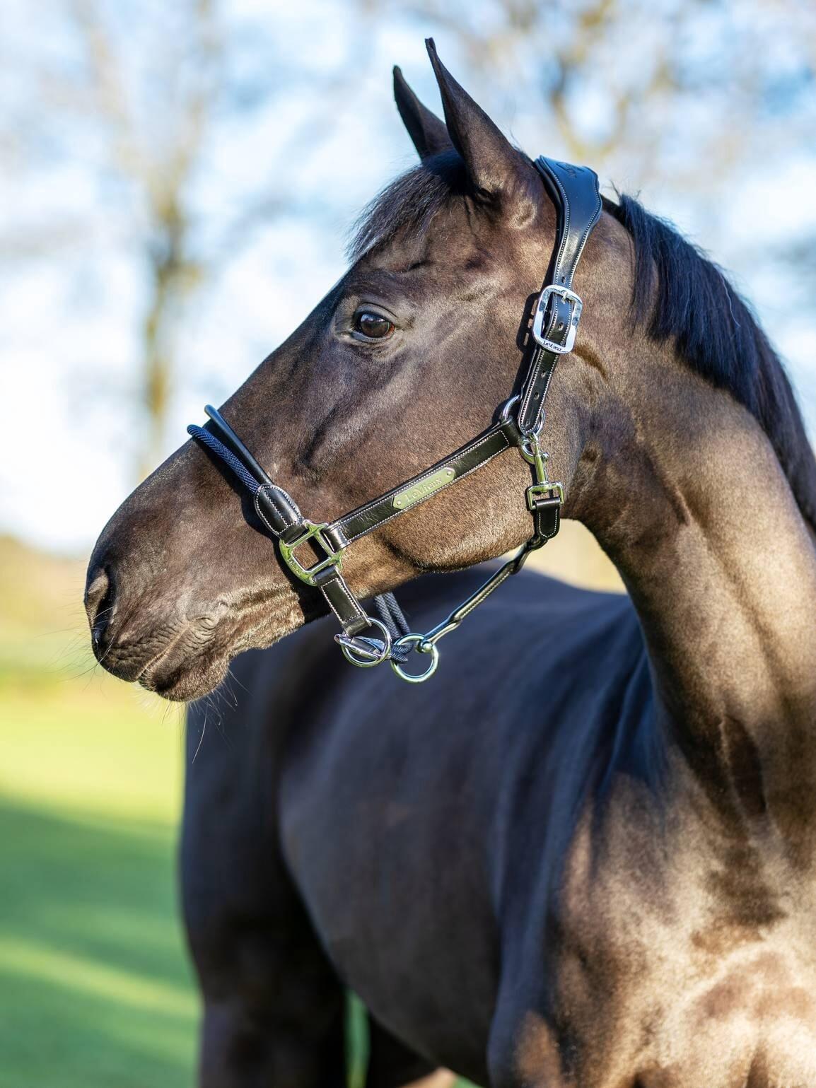Halster voor paarden LeMieux Rope Control 5/7