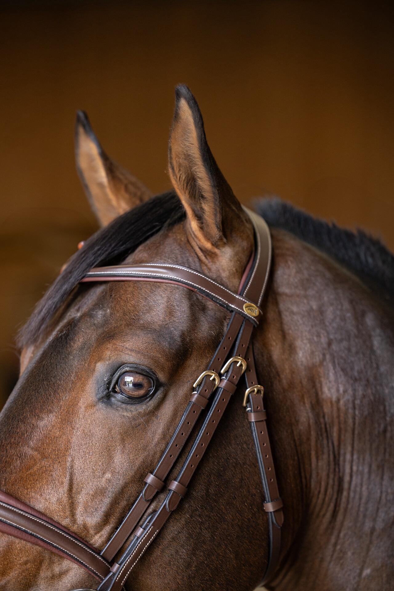 Hfi Hoofdstel  Padded Bruin 5/5
