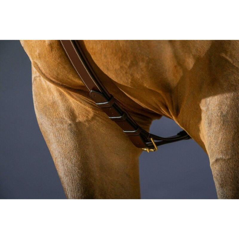 Dy'on Long Bridge Breastplate - D Collection Bruin -