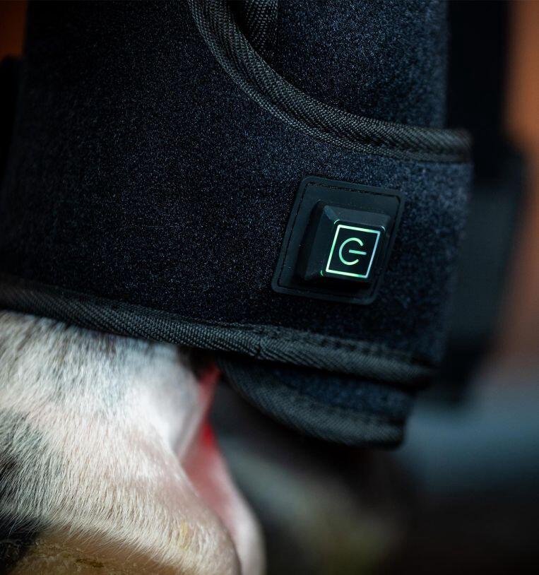 Horseware LED-Rotlichttherapie Beinschützer 1 Bein 5/5