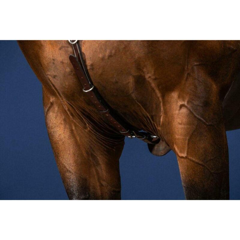 Dy'on Bridge Breastplate Us Collection Bruin -