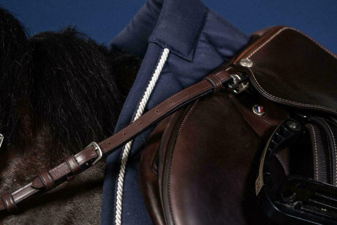 Jagdhalsband für Brückenpferd Dy'on US Collection 4/5