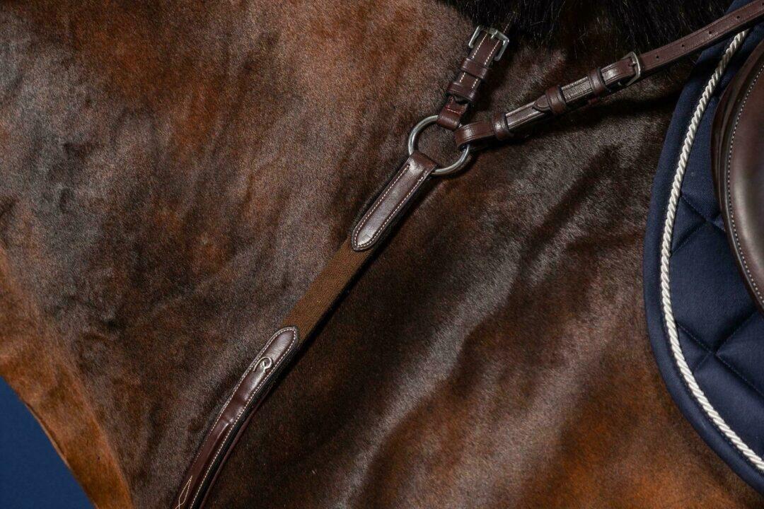 Jagdhalsband für Brückenpferd Dy'on US Collection 3/5