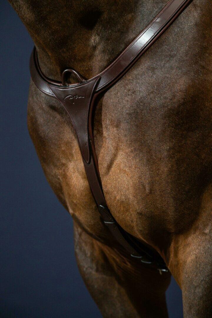 Collar de caza para caballos Dy'on New English Collection 4/4