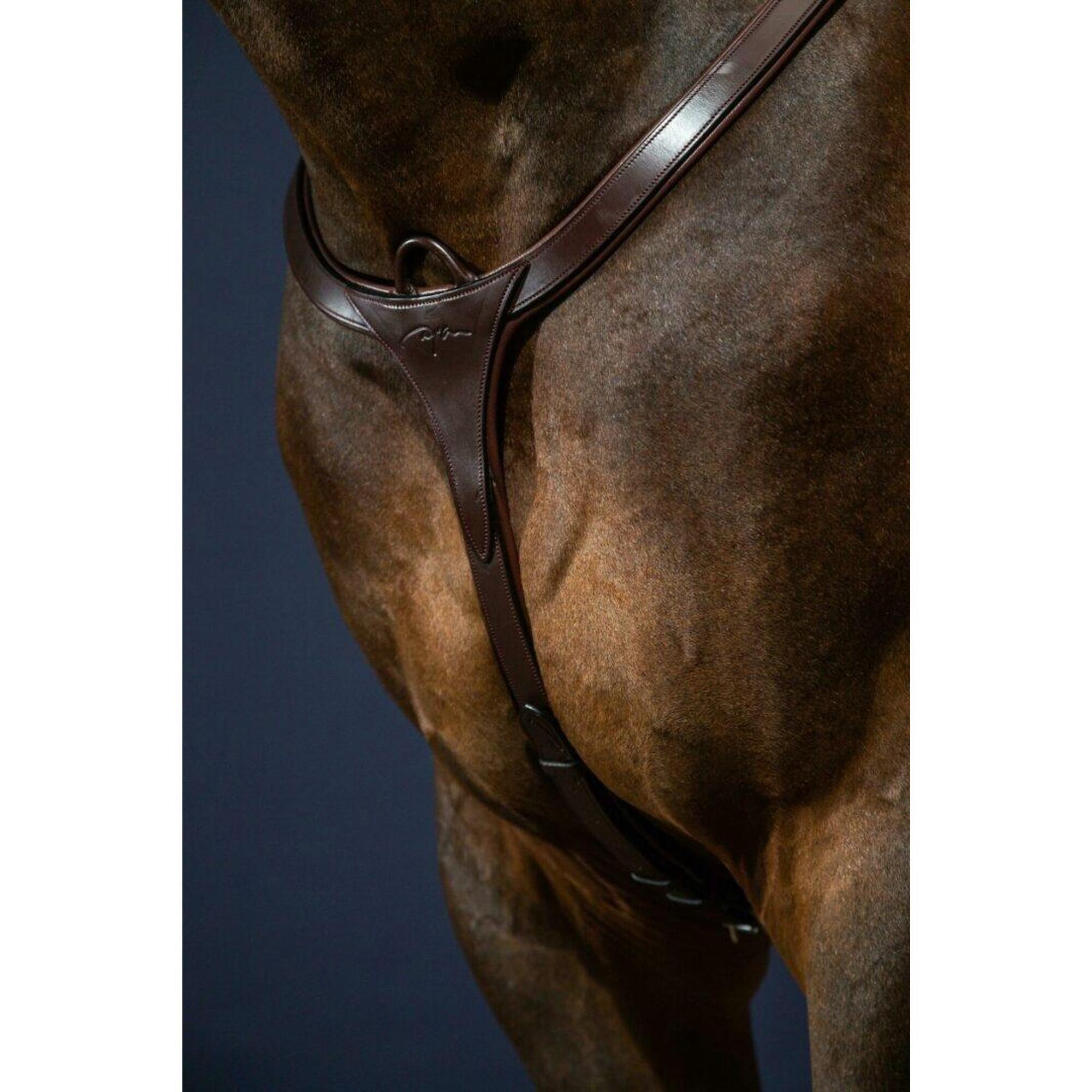 Dy'on Long Bridge Breastplate Bruin -