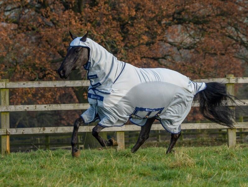 Manta antimoscas para caballos Bucas Sweet-itch 2/2