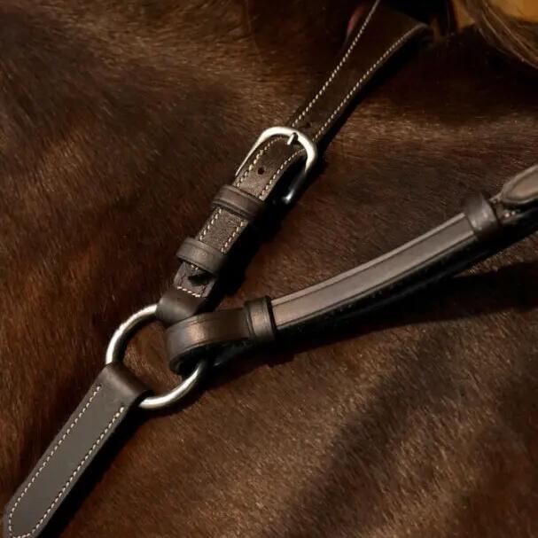 Bridge hunting collar for horses Dy'on