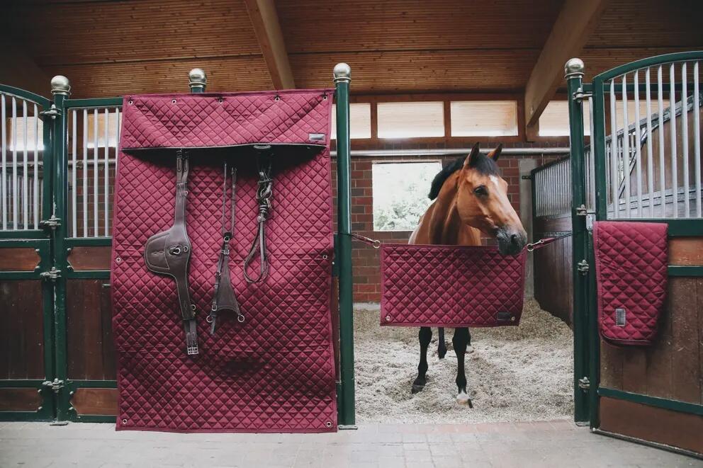 Kentucky Stable Curtain Blauw - 3/6