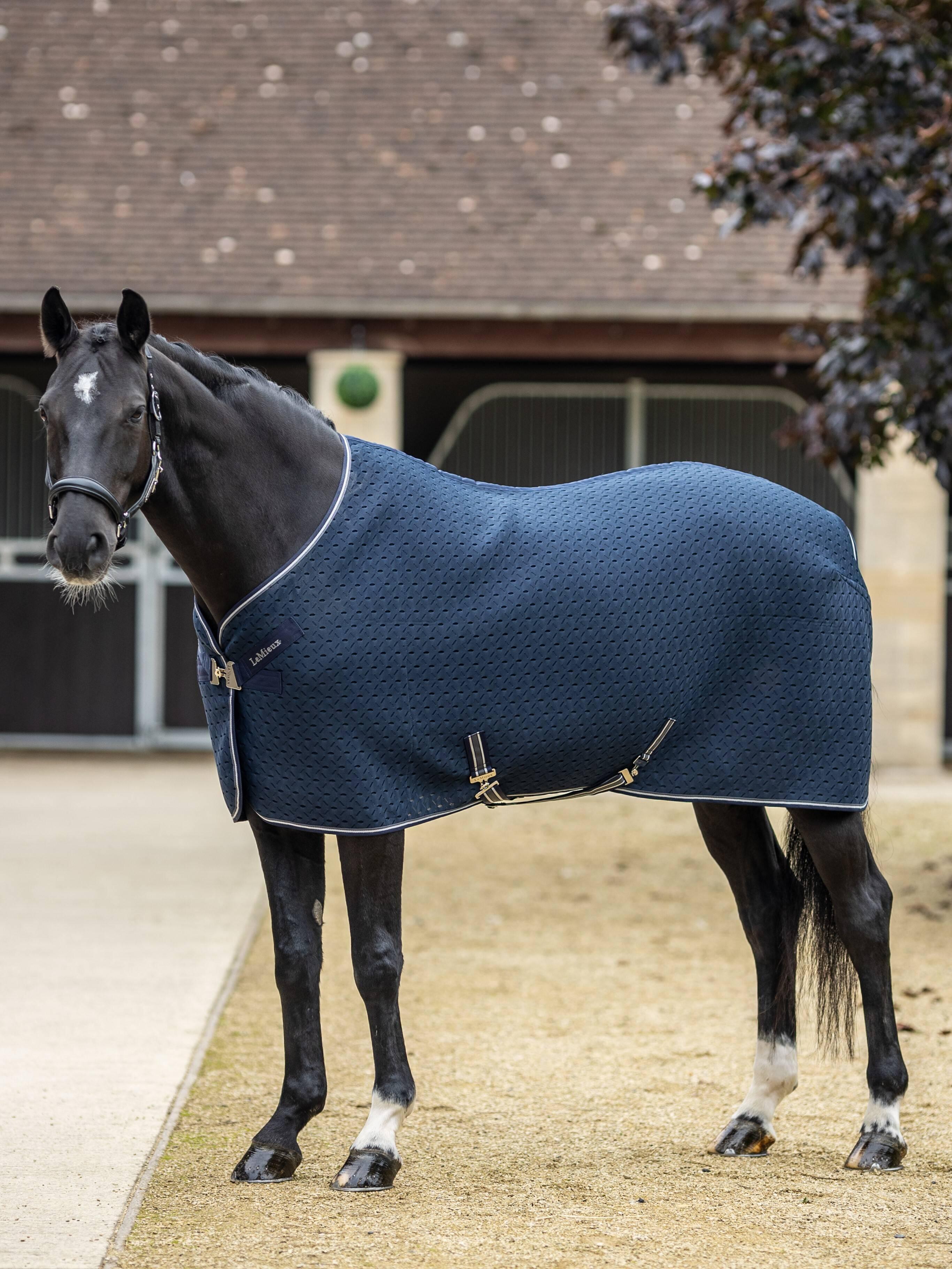 Lemieux Kudos 3d Mesh Travel Rug Blauw - 6/6