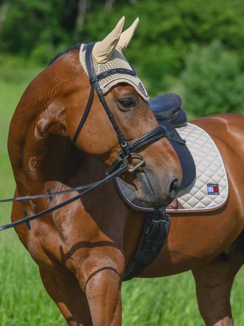 Tommy Hilfiger Equestrian Princeton Zadeldek Blauw 6/7