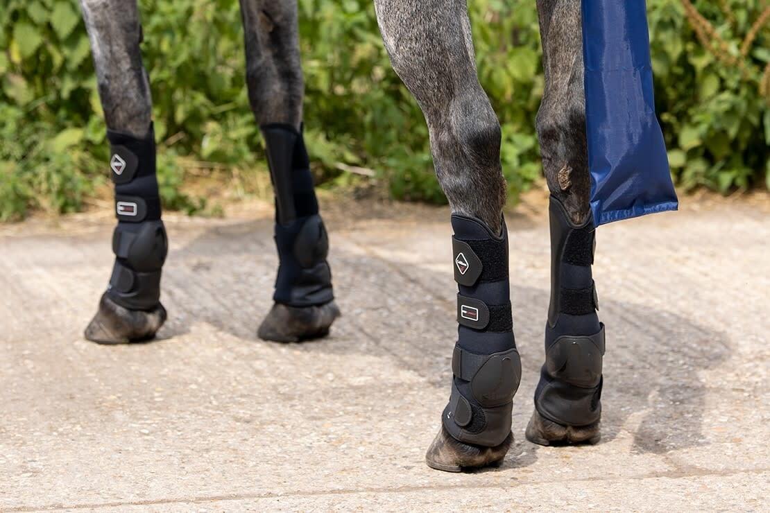 Lemieux Turnout Beenbeschermers Zwart 3/4