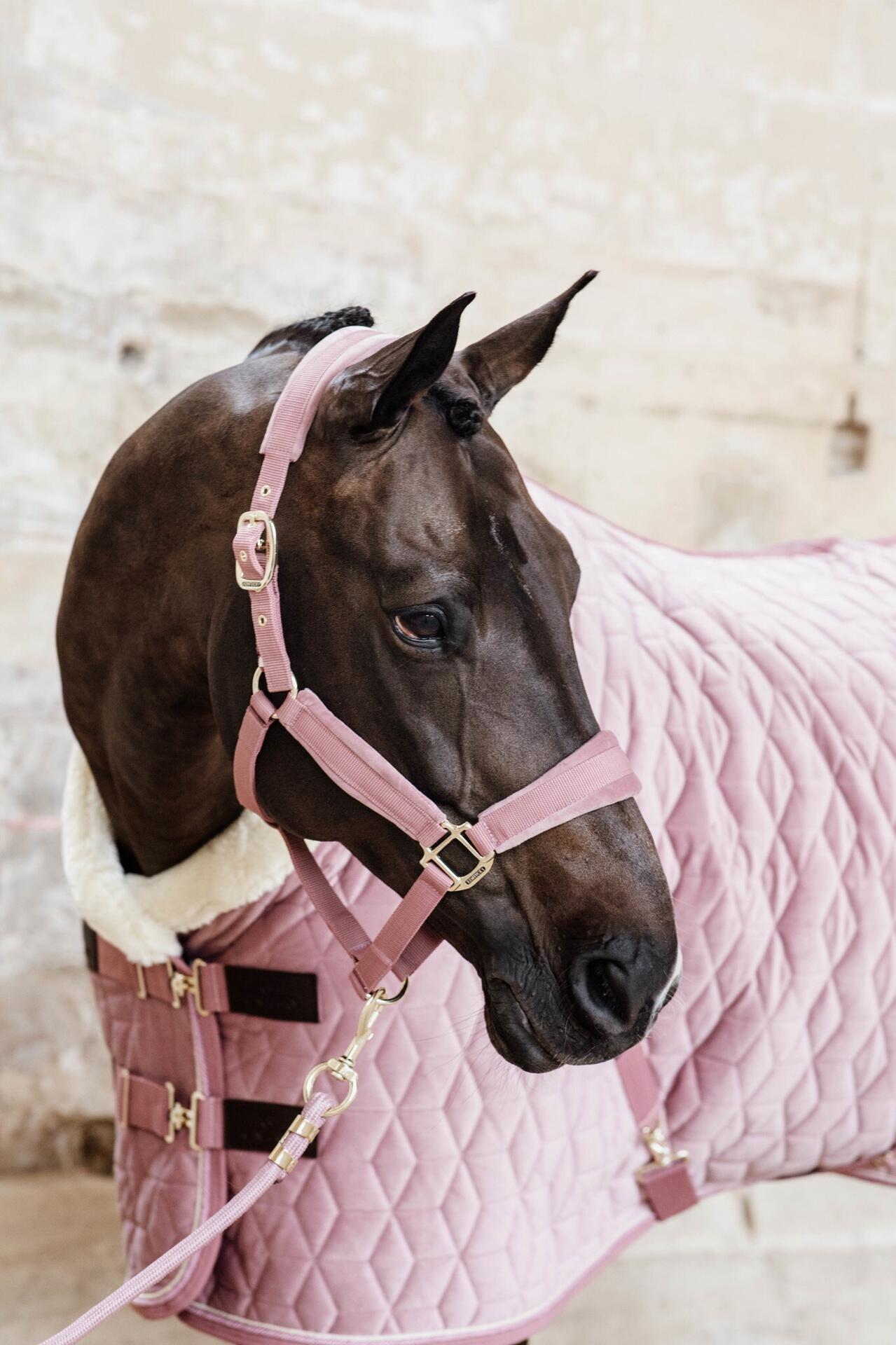 Paardenlijn rope zwart 2m 5/7