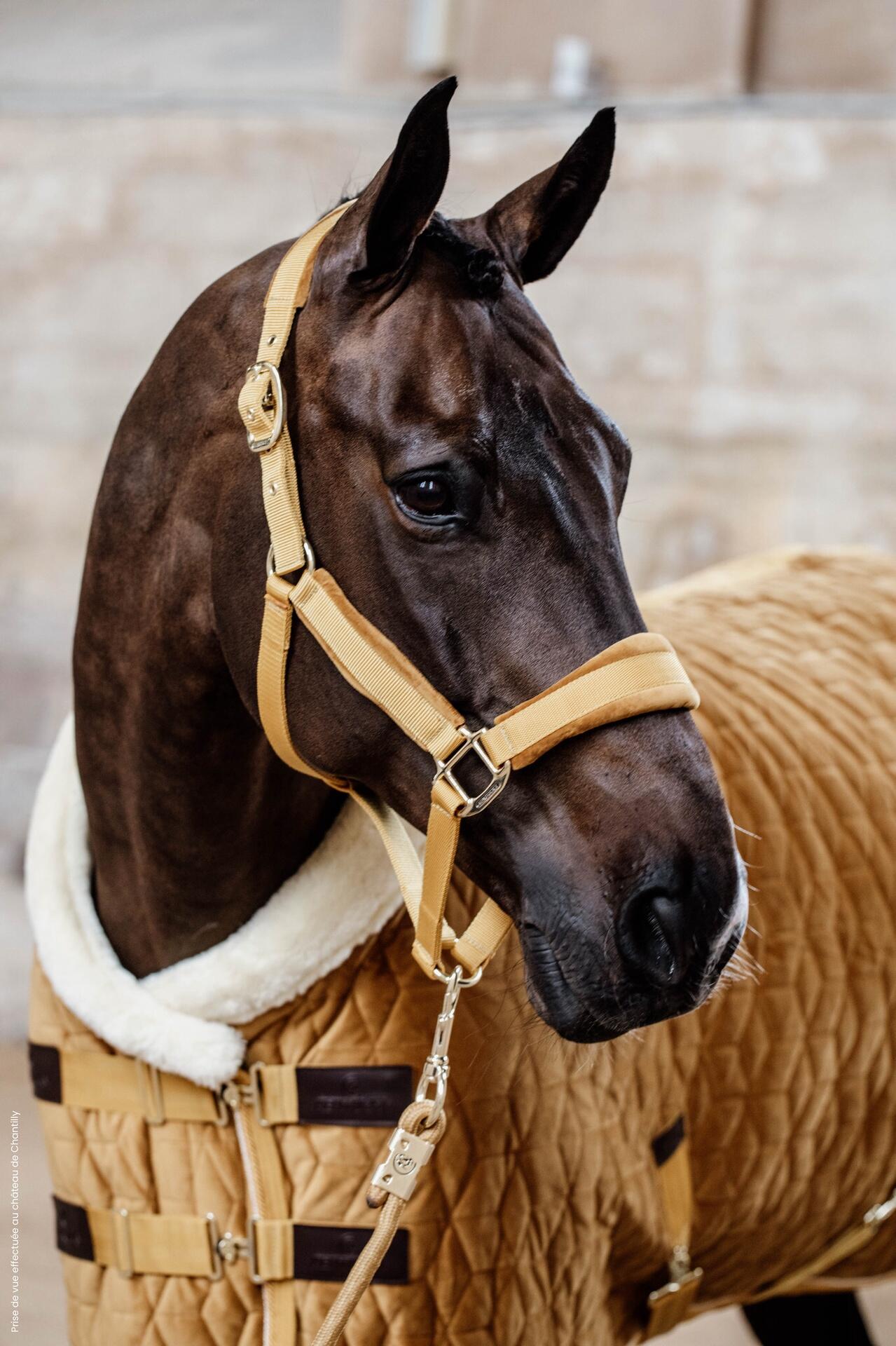Paardenlijn rope smaragd 2m 7/7