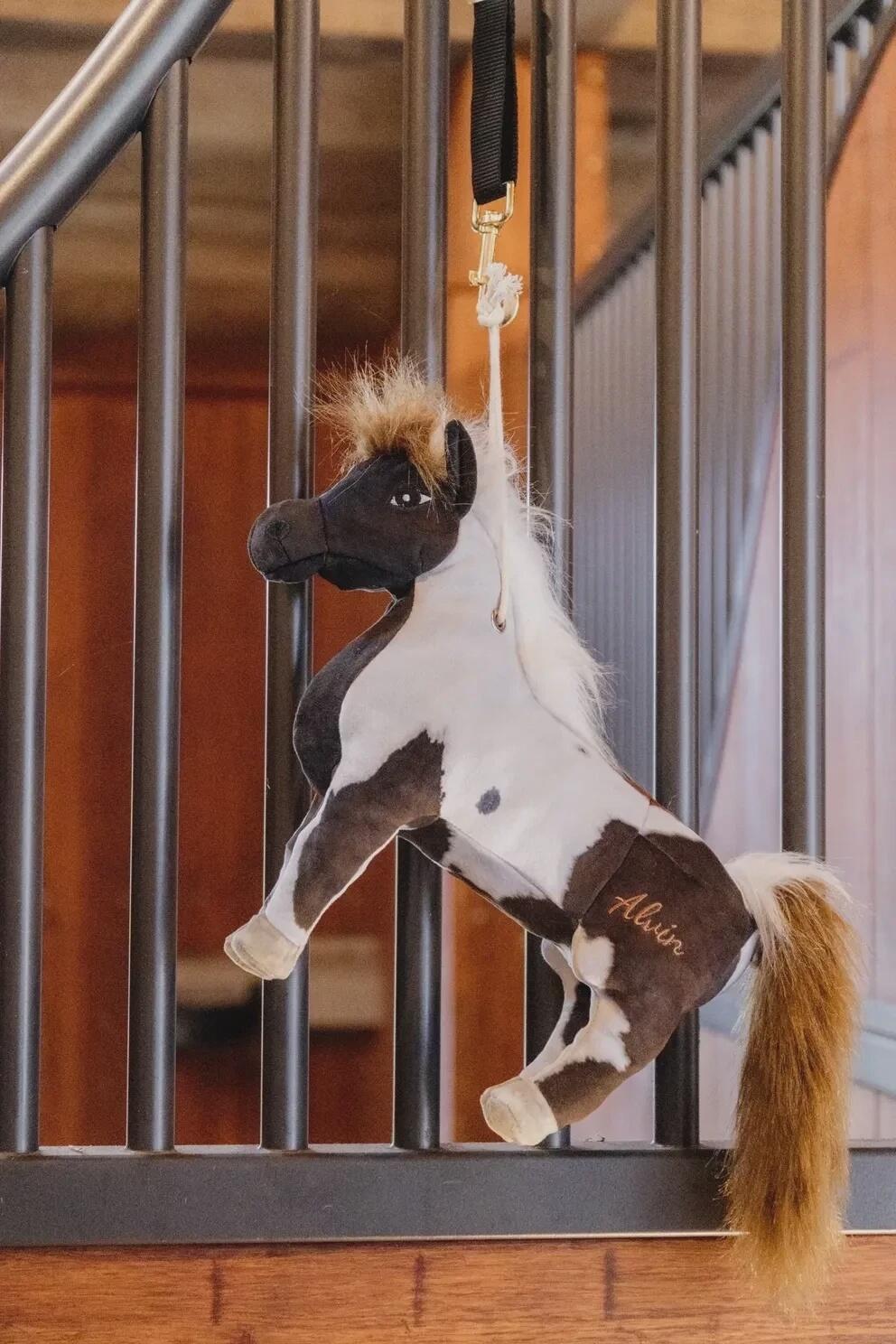 Jouet de boxe Poney Alvin - Kentucky 7/7