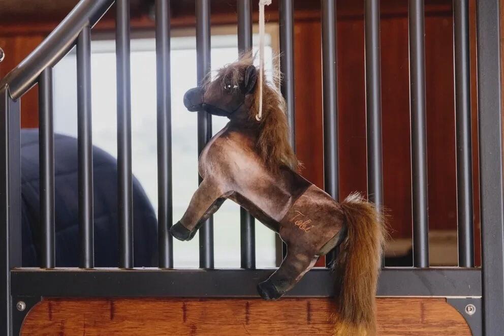 Jouet de boxe Poney Alvin - Kentucky 6/7