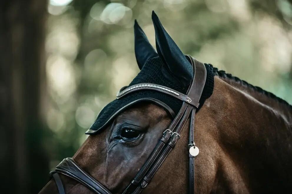 Kentucky - Oornetje Wellington - Donkerblauw - Leather - Soundless 6/7