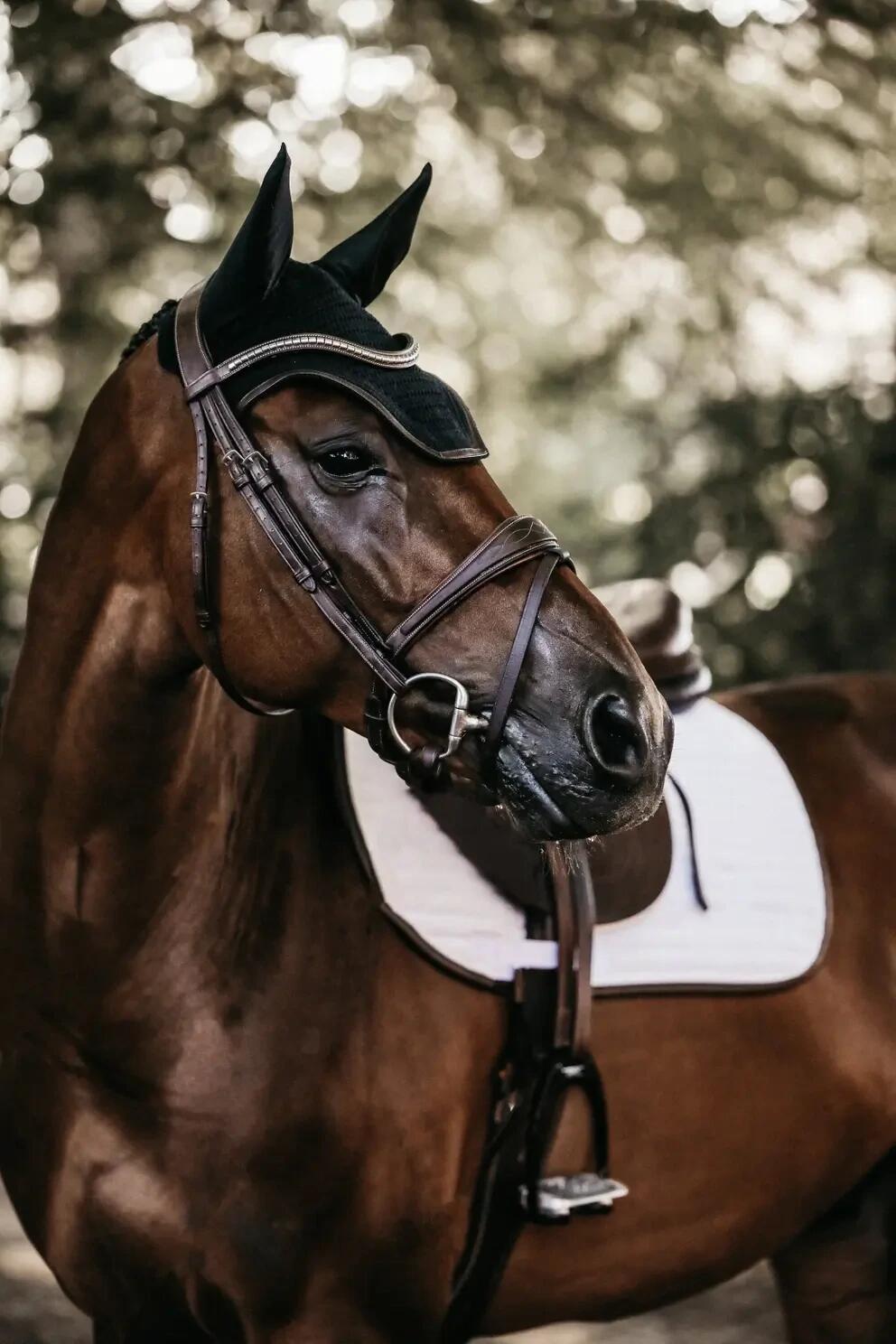 Kentucky - Oornetje Wellington - Donkerblauw - Leather - Soundless 2/7