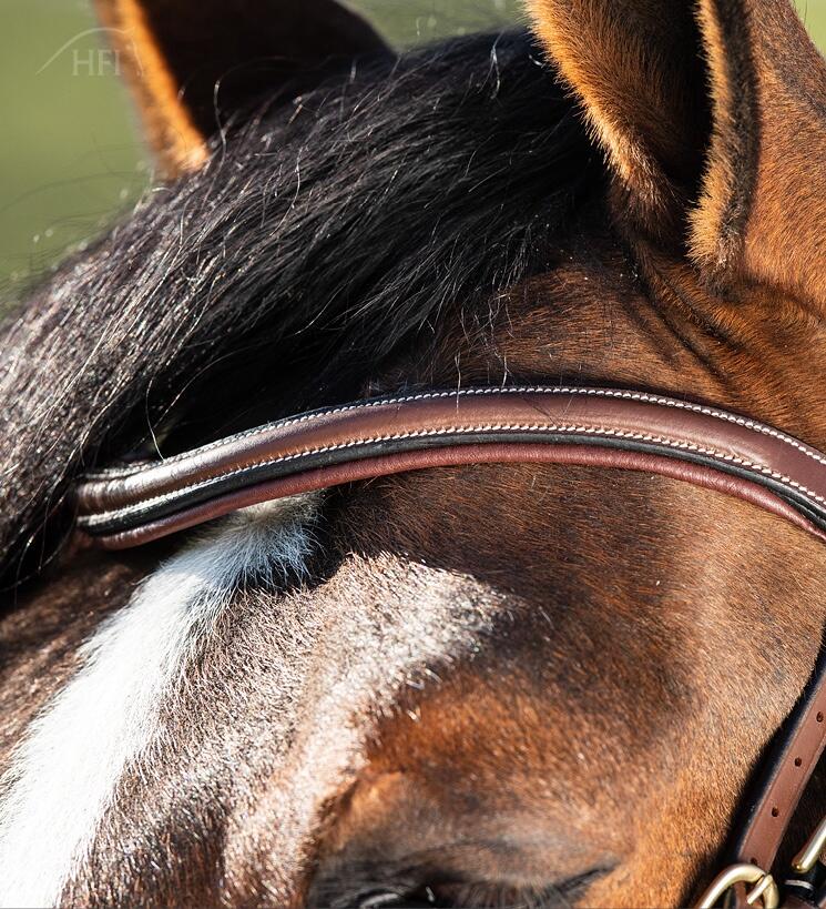 Hfi Hoofdstel Techno Bruin 4/5