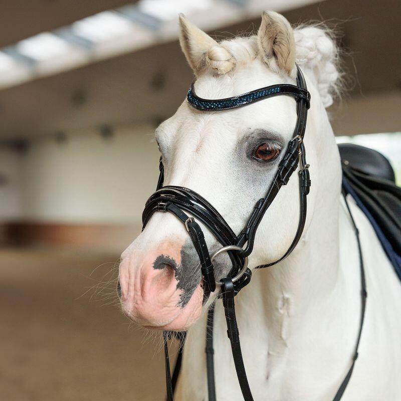 Imperial Riding Hoofdstel Irhpetit Zwart Sapphire - 2/3