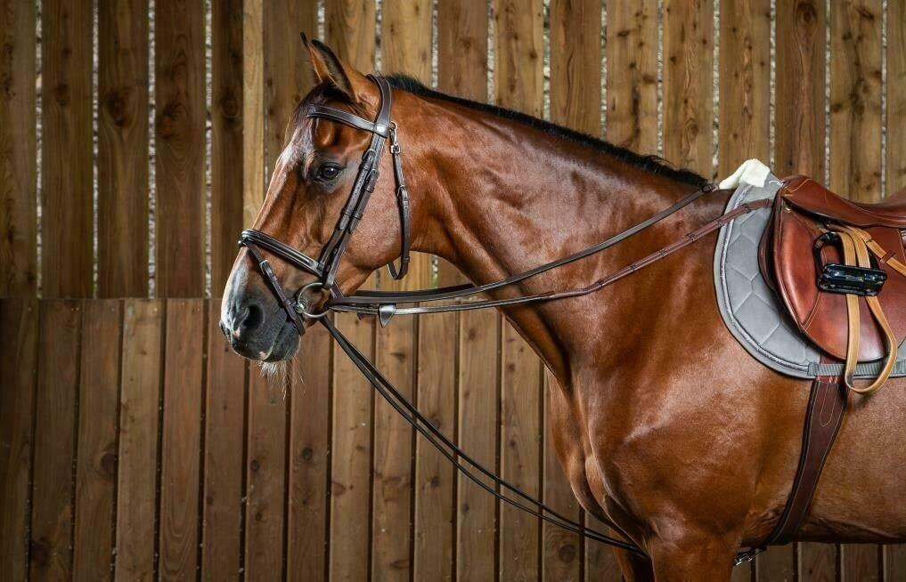 Dy'on Full Leather Draw Reins 1/2 (13mm) Working Coll. Bruin 2/5