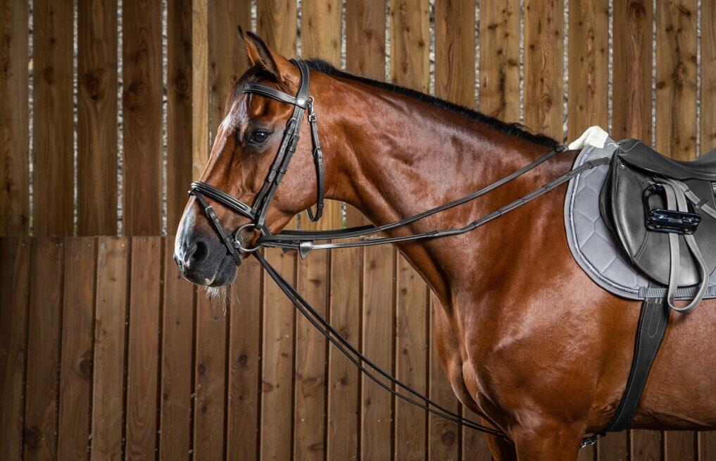 Dy'on Full Leather Draw Reins 1/2 (13mm) Working Coll. Bruin 4/5