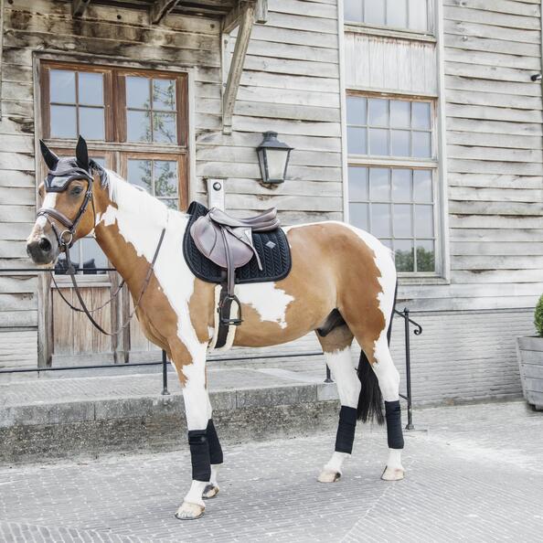 Wellington Oornetje - Velvet Pearls - Roze - Voor Paard 6/7