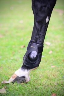 Kentucky Deep Fetlock Boots - Kogelbeschermers Zwart 4/7