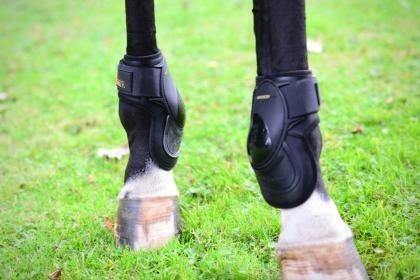 Kentucky Deep Fetlock Boots - Kogelbeschermers Zwart 3/7