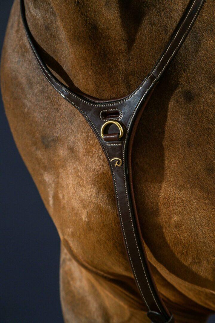 Martingala per cavalli Dy'on Yoke 3/5