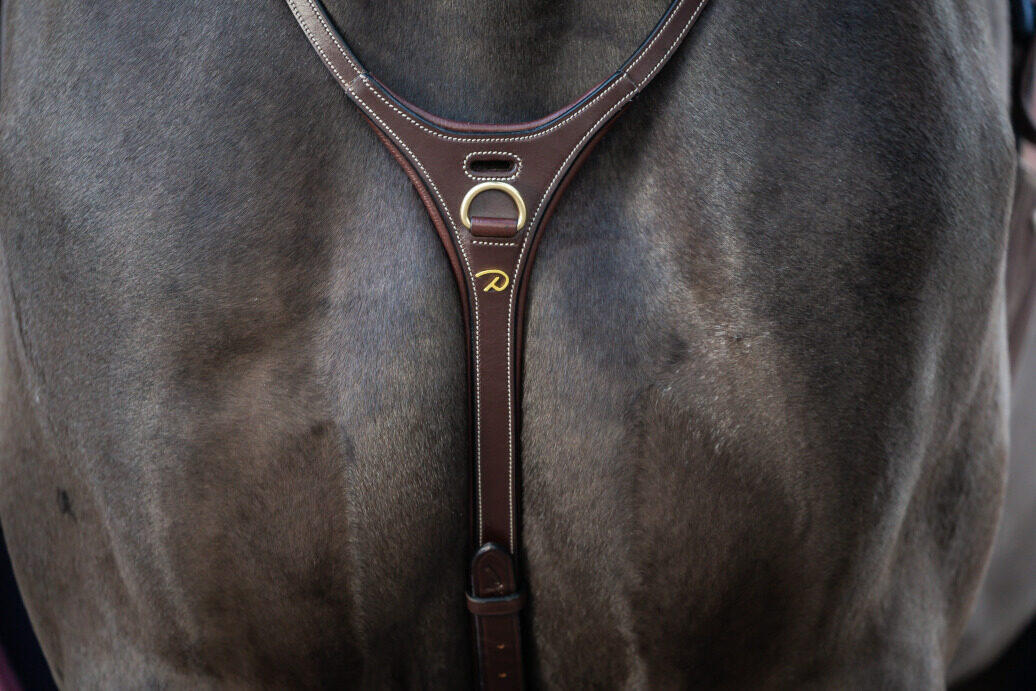 Martingala per cavalli Dy'on Yoke 4/5