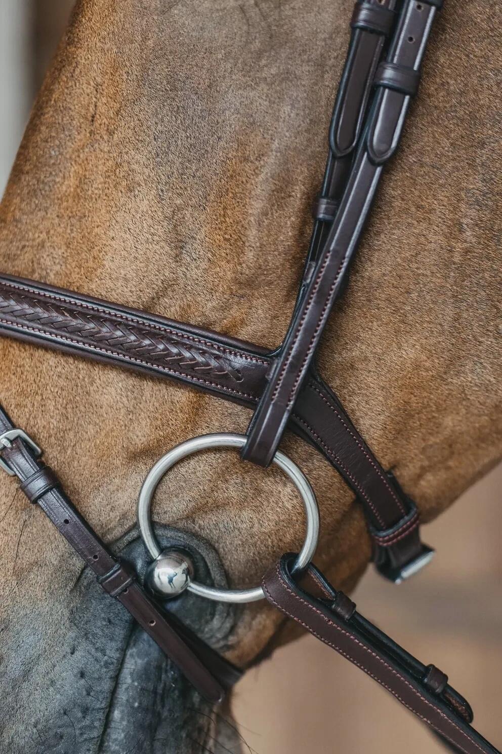 Bridón de equitación con muserola combinada trenzada Dy'on 6/7