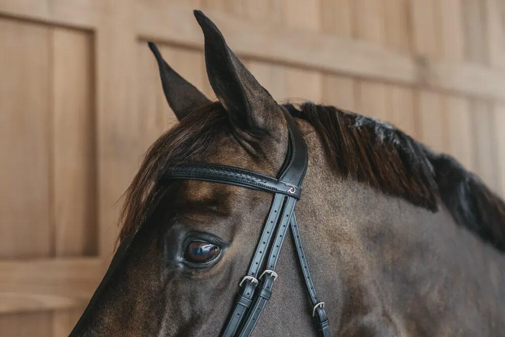 Bridón de equitación con muserola combinada trenzada Dy'on 4/7