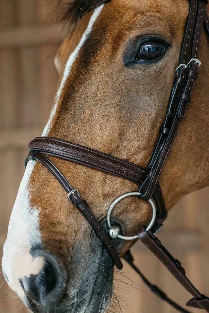 Bridón de equitación con muserola combinada trenzada Dy'on 2/7