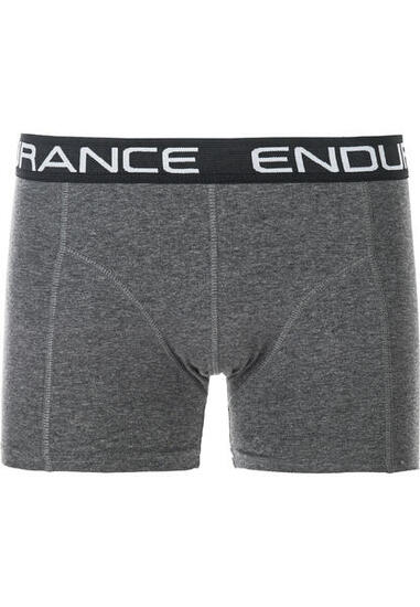 Boxer Endurance Norwich