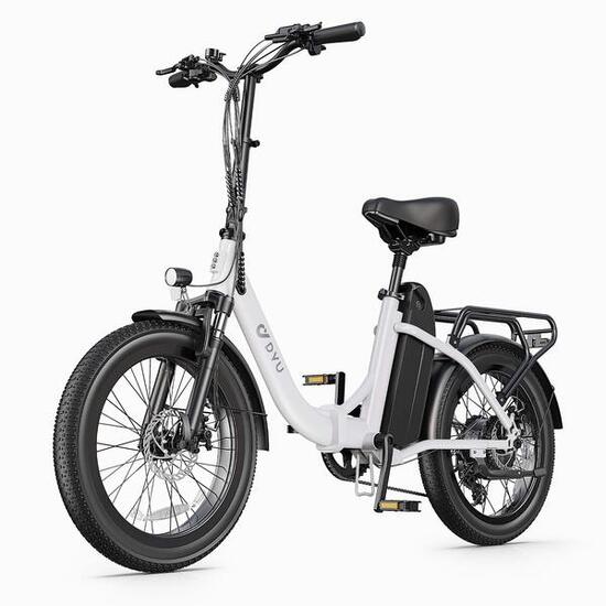 Bici elettrica per adulti DYU C9 20 pollici batteria 48V 156Ah
