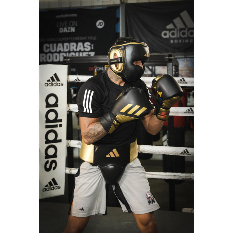 Coquille boxe pro