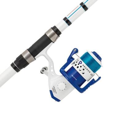 Canna combinata Mitchell Neuron Surf 453 100-200g