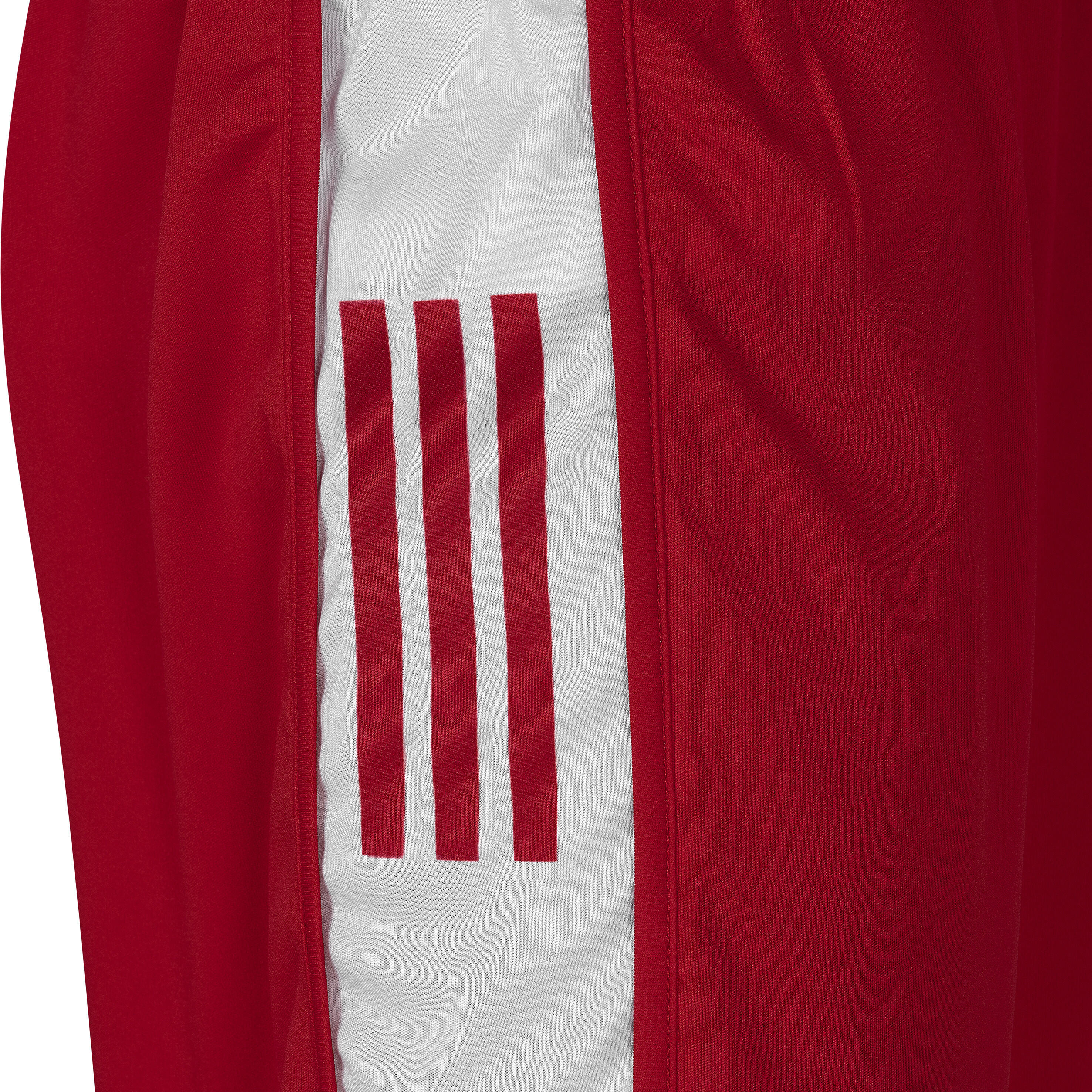 Short de boxe IBA pour femmes 4/6