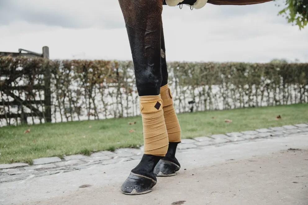 Bandes de polo Velvet  - Kentucky 5/7