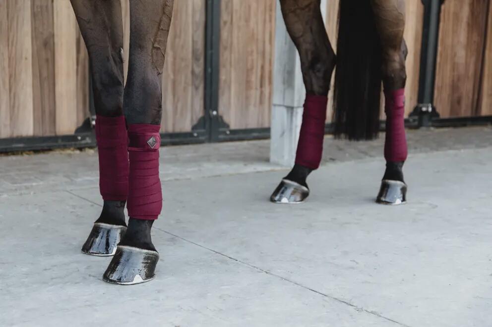 Bandes de polo Velvet  - Kentucky 7/7