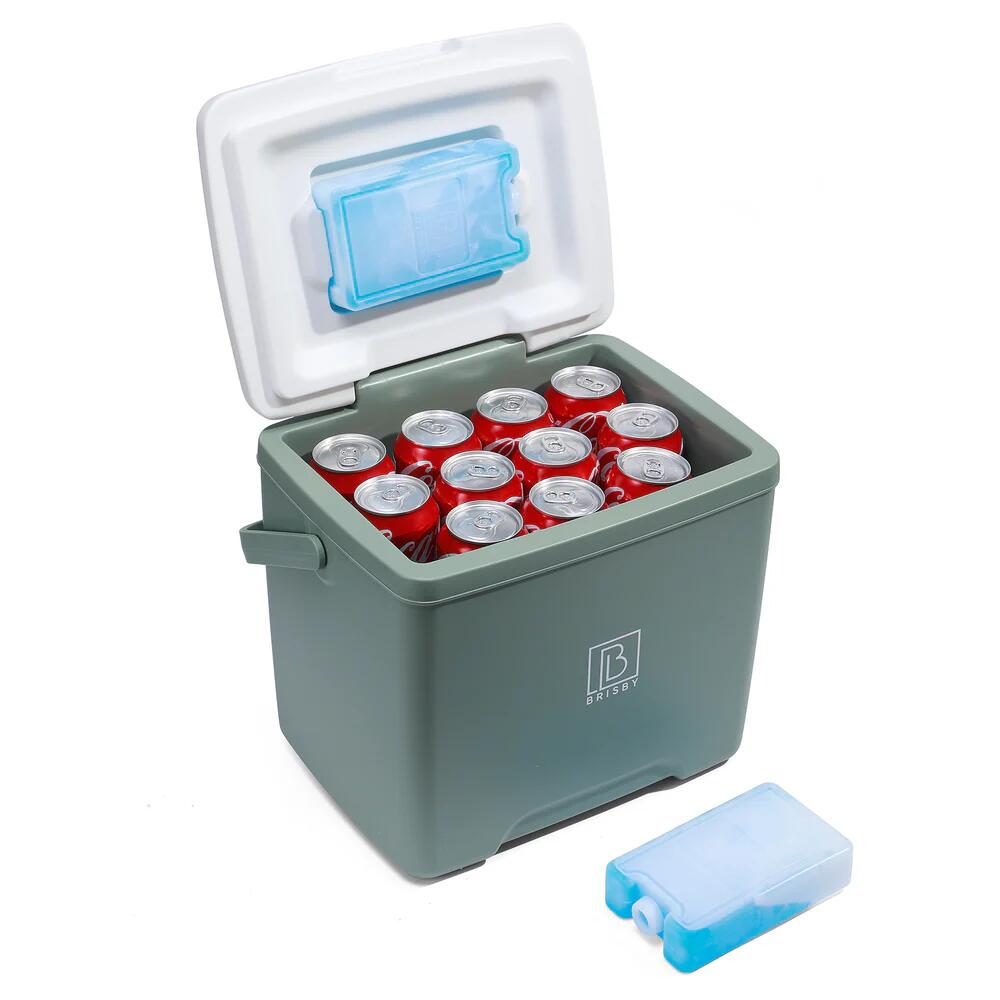 Glacière Brisby 13 litres verte 2/5